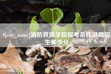 灵宝消防救援学院报考条件湖南招生多少分