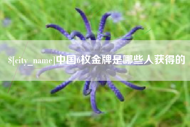 灵宝中国6枚金牌是哪些人获得的