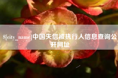 灵宝中国失信被执行人信息查询公开网址