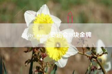 灵宝奥运会39块金牌