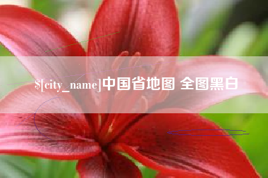 灵宝中国省地图 全图黑白