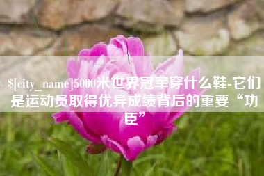 灵宝5000米世界冠军穿什么鞋-它们是运动员取得优异成绩背后的重要“功臣”