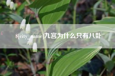 灵宝九宫为什么只有八卦