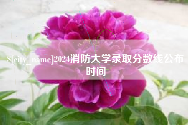 灵宝2024消防大学录取分数线公布时间