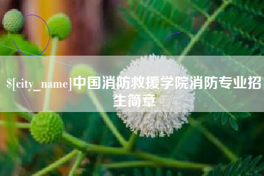 灵宝中国消防救援学院消防专业招生简章