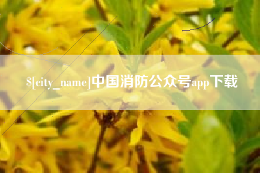 灵宝中国消防公众号app下载