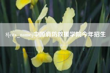 灵宝中国消防救援学院今年招生