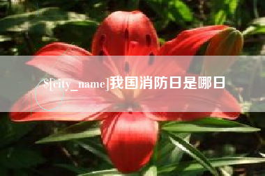 灵宝我国消防日是哪日