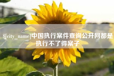 灵宝中国执行案件查询公开网都是执行不了得案子