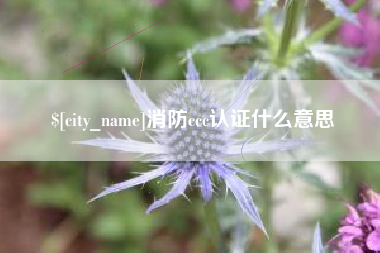 灵宝消防ccc认证什么意思
