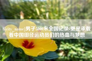 灵宝男子5000米全国记录-更是承载着中国田径运动员们的热血与梦想