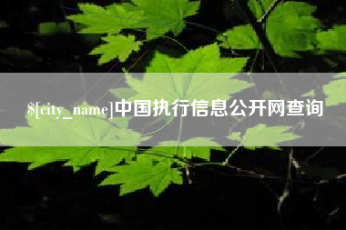 灵宝中国执行信息公开网查询