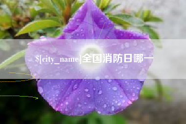 灵宝全国消防日哪一