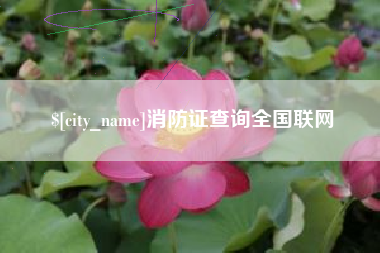 灵宝消防证查询全国联网
