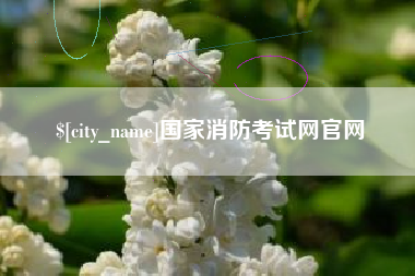灵宝国家消防考试网官网