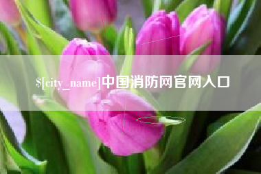 灵宝中国消防网官网入口