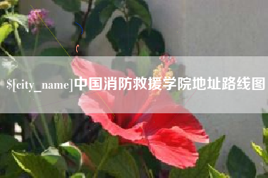 灵宝中国消防救援学院地址路线图