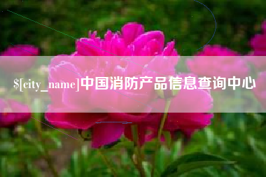 灵宝中国消防产品信息查询中心