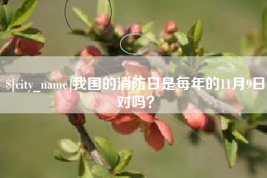 灵宝我国的消防日是每年的11月9日对吗？
