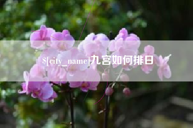 灵宝九宫如何排日