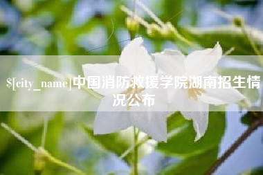 灵宝中国消防救援学院湖南招生情况公布