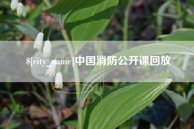 灵宝中国消防公开课回放