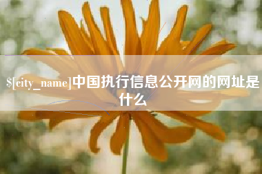 灵宝中国执行信息公开网的网址是什么