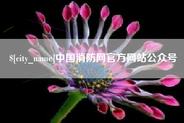 灵宝中国消防网官方网站公众号