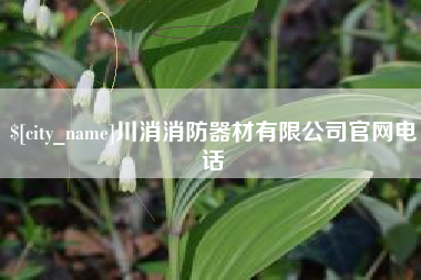 灵宝川消消防器材有限公司官网电话