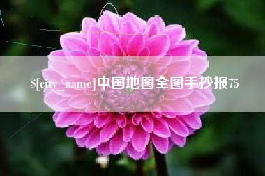 灵宝中国地图全图手抄报75