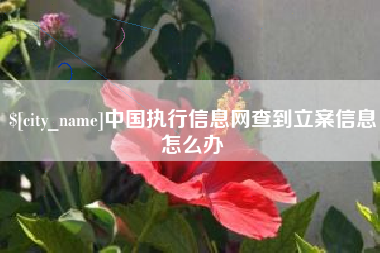 灵宝中国执行信息网查到立案信息怎么办