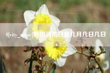 灵宝我国消防日是几月几日几日
