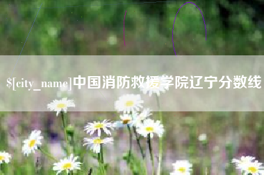 灵宝中国消防救援学院辽宁分数线