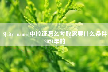 灵宝中控证怎么考取需要什么条件2024年的