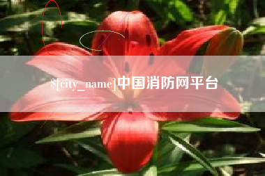 灵宝中国消防网平台