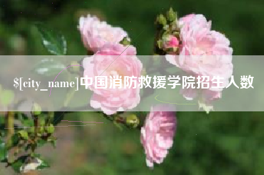 灵宝中国消防救援学院招生人数