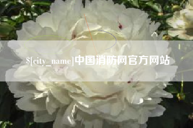 灵宝中国消防网官方网站