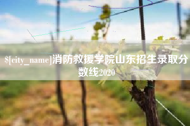 灵宝消防救援学院山东招生录取分数线2020