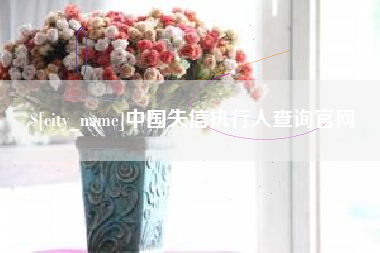 灵宝中国失信执行人查询官网