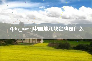 灵宝中国第九块金牌是什么