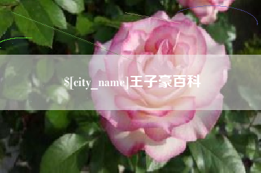 灵宝王子豪百科