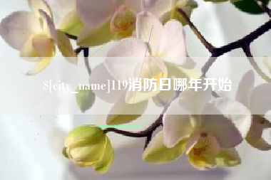 灵宝119消防日哪年开始