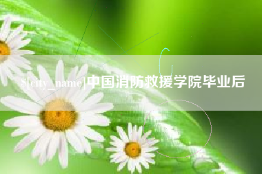 灵宝中国消防救援学院毕业后