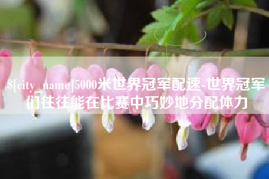 灵宝5000米世界冠军配速-世界冠军们往往能在比赛中巧妙地分配体力