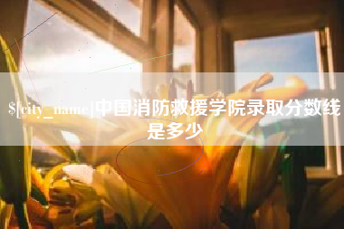 灵宝中国消防救援学院录取分数线是多少