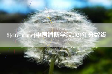 灵宝中国消防学院2024年分数线