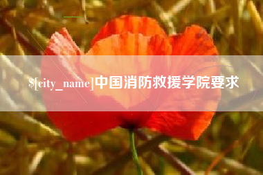 灵宝中国消防救援学院要求