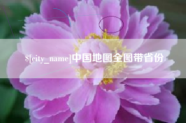 灵宝中国地图全图带省份