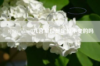 灵宝九宫星位是定位不变的吗