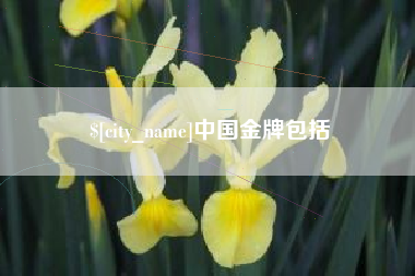 灵宝中国金牌包括
